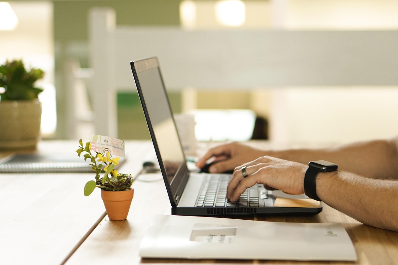 online connection laptop plant 4208112